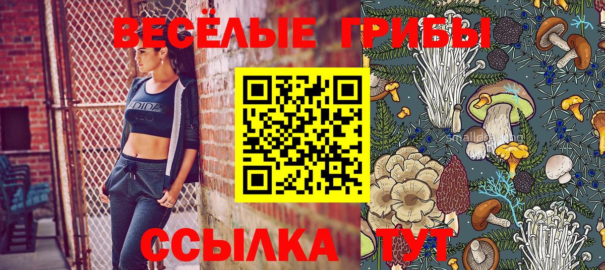Гудермес  Галлюциногенные грибы Psilocybine cubensis  Вход с VPN 