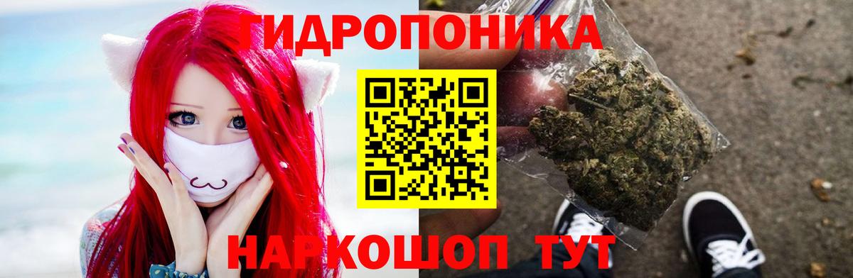 Гудермес  Канабис White Widow  Марихуана тримм  Канабис тримм  МАРИХУАНА индика  Вход с VPN 
